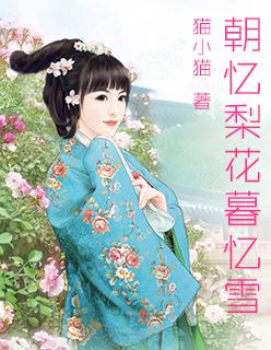 主人公叫宋秦秦的
