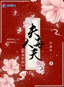 小宝寻亲记免费阅读