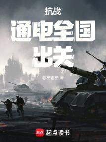 抗战通电全国出关免费阅读