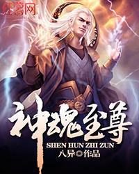 神魂至尊境界等级详细介绍